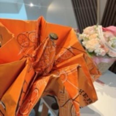 wholesale quality hermes umbrella model no. 7